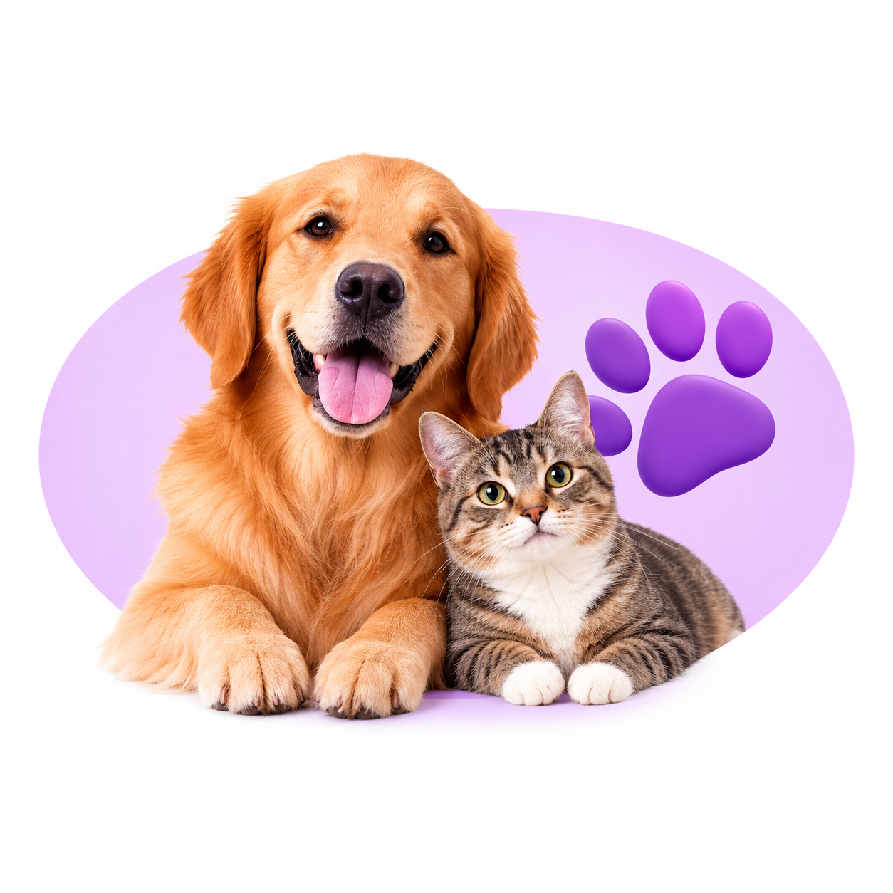Pets