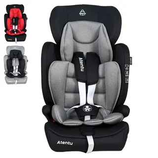 Cadeirinha Infantil Para Carro 9-36kg Passeio Com Segurança (3 cores)